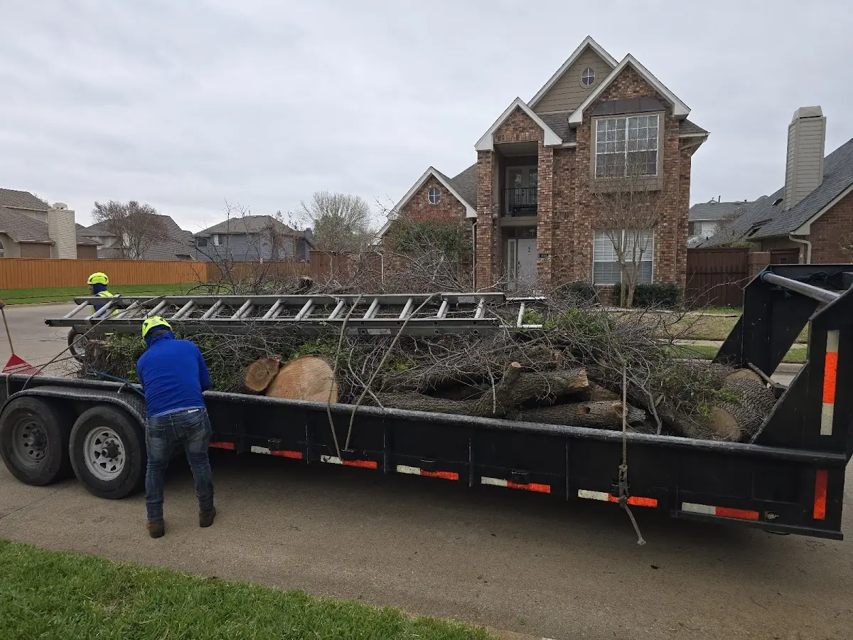 Expert Tree Fertilization with proper safety equipment in Snowflake